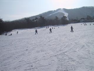2005-02-08 10:10:53